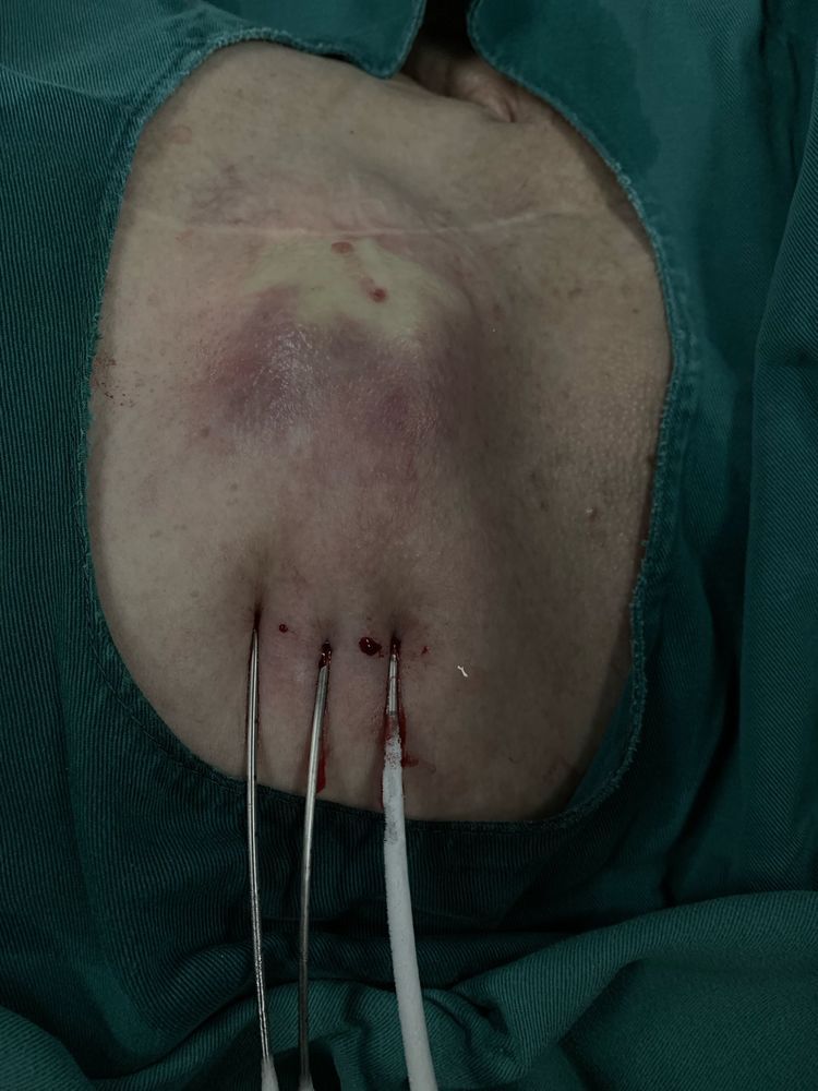 ny11_497801.jpg m4.jpg