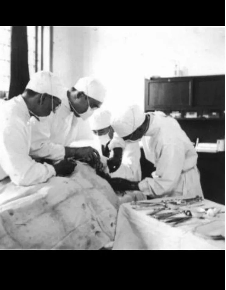 ny11_845152.jpg m10.jpg