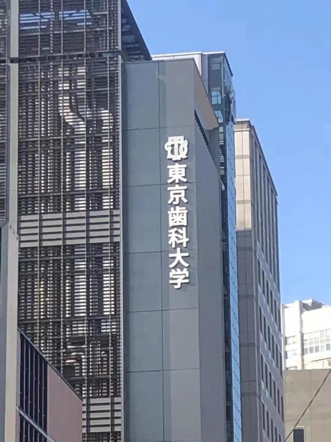 ny06_937564.jpg 1.jpg