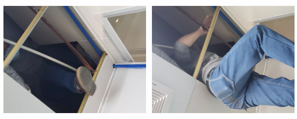 ny08_442818.png 36.png