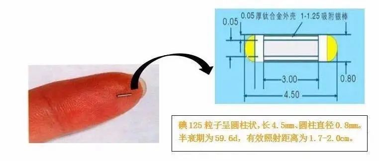 ny20_221445.jpg m6.jpg