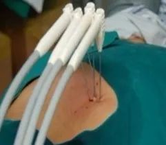 ny20_845558.jpg m8.jpg