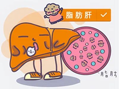 ny13_912639.jpg ny13_912639.jpg