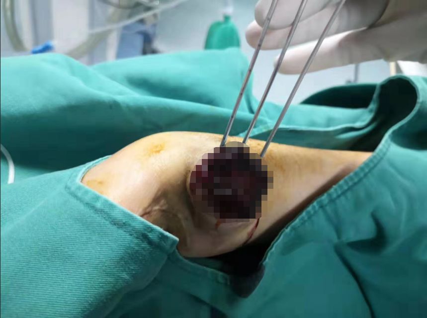 ny31_197520.jpg ny31_197520.jpg