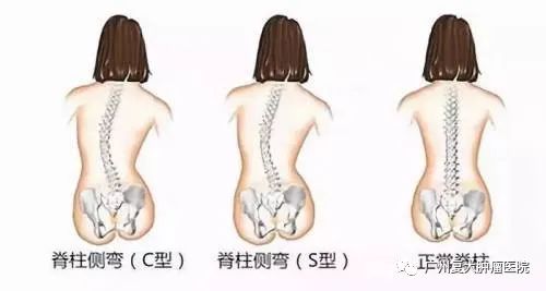 ny17_712365.jpg s2.jpg