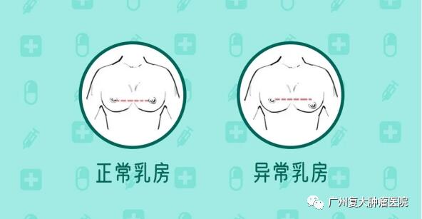 ny18_190273.jpg 1236.jpg