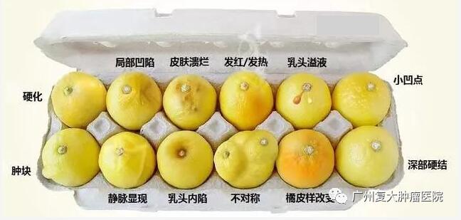 ny18_549369.jpg 1234.jpg