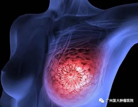 ny18_686596.jpg ny18_686596.jpg