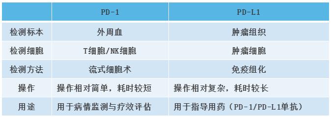 ny13_205380.jpg 15.jpg