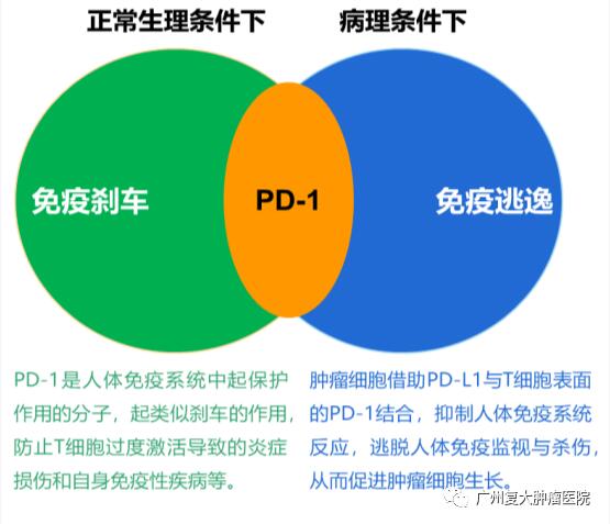 ny13_474255.jpg 11.jpg