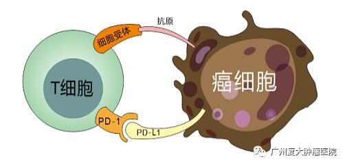 ny13_714556.jpg 12.jpg