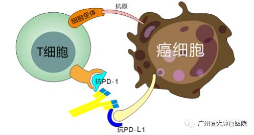 ny13_786832.jpg ny13_786832.jpg