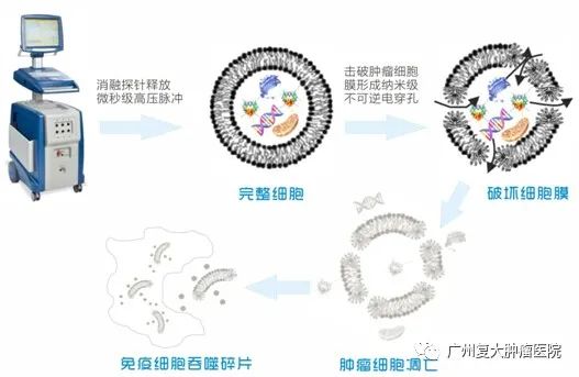 ny27_464412.jpg bb2.jpg