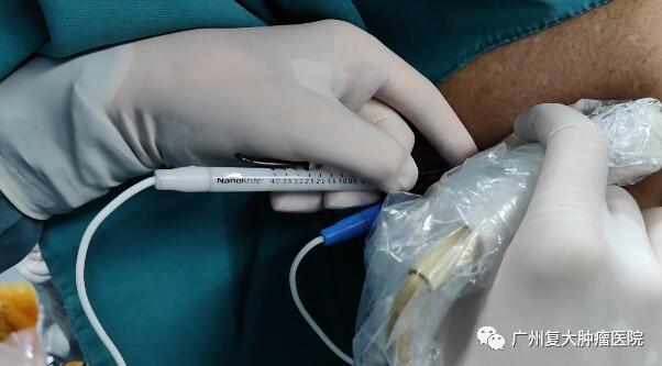 ny27_755546.jpg ny27_755546.jpg