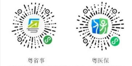 ny27_953805.jpg bb9.jpg