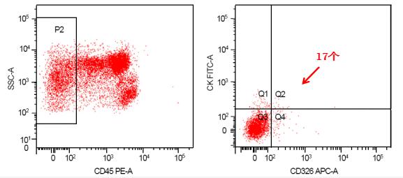 ny13_681307.jpg 125.jpg